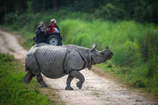 Kaziranga National Park